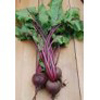 Beetroot ~ Jannis (March)