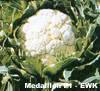 Cauliflower ~ Medaillon F1 (Winter)